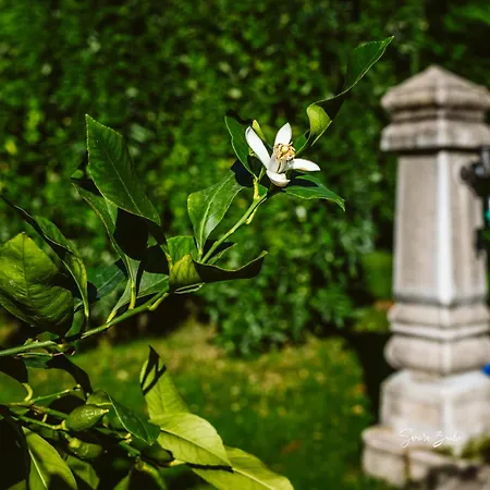 Narciso ベッド・アンド・ブレックファスト 3*