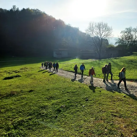 ベッド・アンド・ブレックファスト Narciso 3*