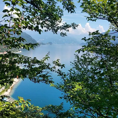 ベッド・アンド・ブレックファスト Narciso Valbrona