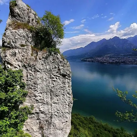 ベッド・アンド・ブレックファスト Narciso Valbrona