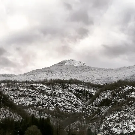 ベッド・アンド・ブレックファスト Narciso Valbrona