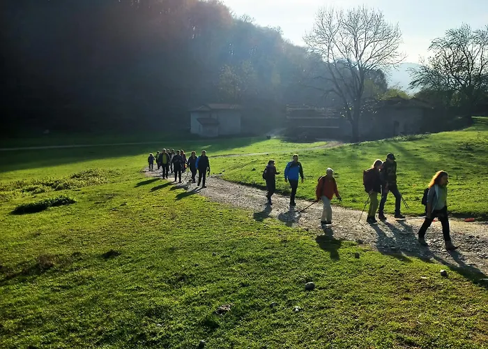 Bed & Breakfast Narciso 3*