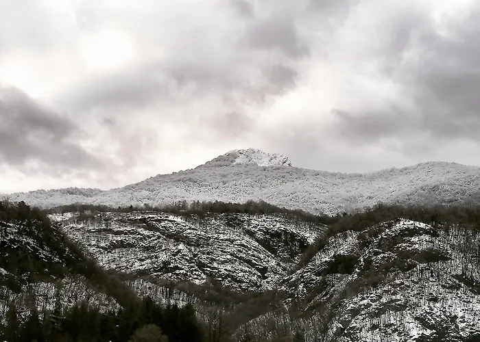 Bed & Breakfast Narciso Valbrona