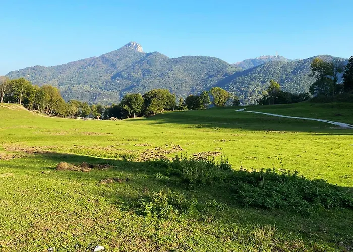 Narciso Отель типа 