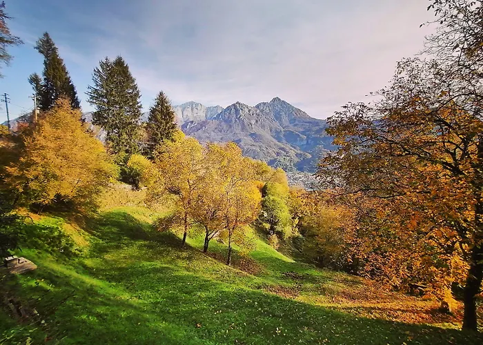 Narciso Отель типа 